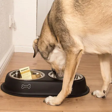 Thefive60 Lägenhet Braunlage