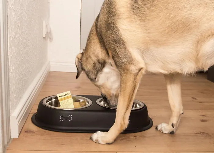 Thefive60 Апартаменты Браунлаге